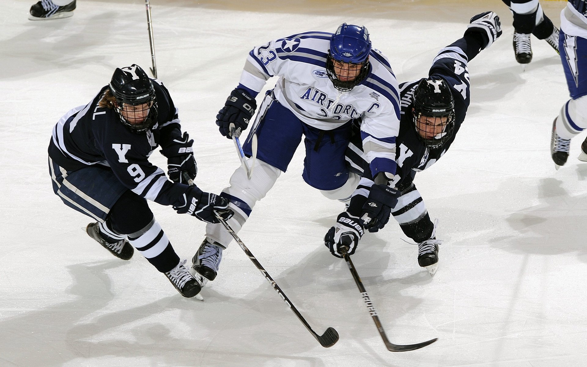_全民运动日：开启健康生活新篇章_，全民健康运动活动方案